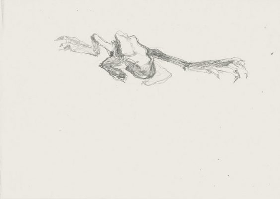 21x29,5 cm Froschmumie Feder Tusche