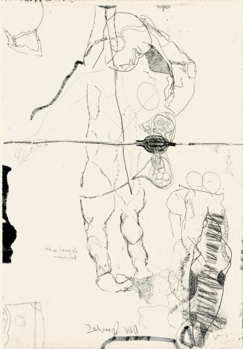 Blatt-Nr-16, Faser, Tusche-Papier, 30,8x21cm