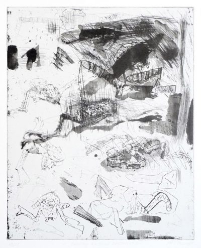 Ovation an eine Froschmumie, Blatt 5, 40 x 32 cm