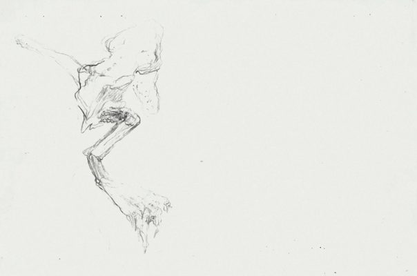 Skizze zu Ovation an eine Froschmumie 1983 21x29,5 cm