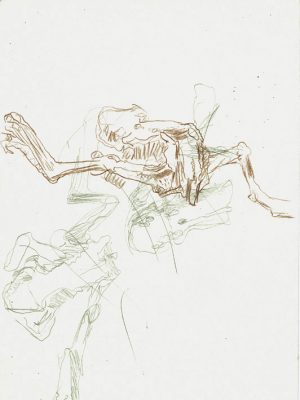 Studie zu Ovation an eine Froschmumie 1983 21x29,5 cm